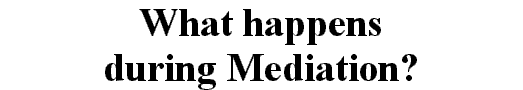 What happens during Mediation?